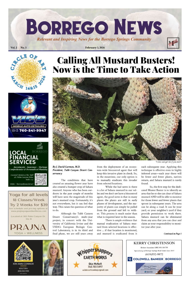 Borrego News February 3rd, 2026 – VOL 2 NO 3